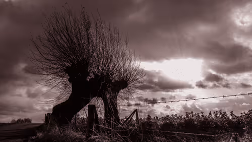 Item #11344951791161137659104281754392441656555545527549605551491260772431249276929 Media