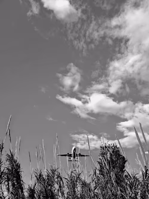 Item #36816001644917254617906175698674191035781868216999975889902342331066612711425 Media