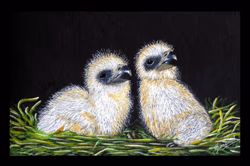 88392049109375850439574262012811564620955616675651121480724544702799295807489