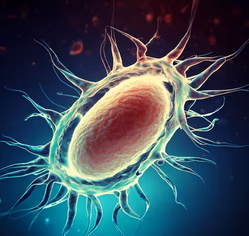 Item #15900858524274065462397165605509062893973264951757804275935713274144055361537 Media