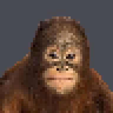 Item #49051871974728512723743709727512141918678316039656509398512956676398980792321 Media