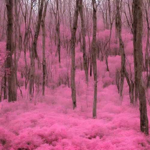 Item #108707963234576619286374292620821639189939007093224297744340406620070105579521 Media