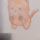 12169777030739166086004999137879827261042618251907334514601068199615018303489
