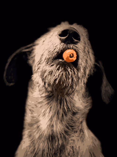 Item #57108856801896560903746486383639662779373746189961117065333784835724926779393 Media