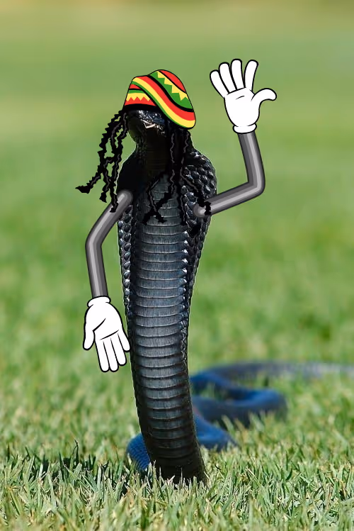 Item #49528553819611158689543245680762430224046431840964854288892804191607452598273 Media