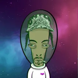 48916305939987036388353811180399295795437013287026112156258815111159386996737