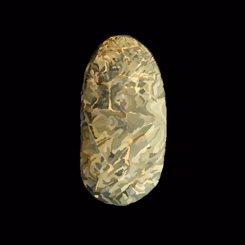 Item #23926592722501241653088435874563475503424690857757904009928287705280192446465 Media