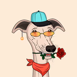 2680978344079381498691935145850352404803834322876667011231052302043853094913