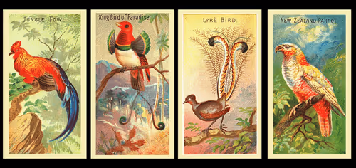 Item #29469762708973987410534374363082415391887994407260107380267554468923264992232 Media