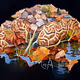 Autumn at the Lake Brain [0258]