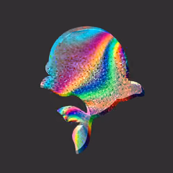 Cryptofish #4 - Dizzy