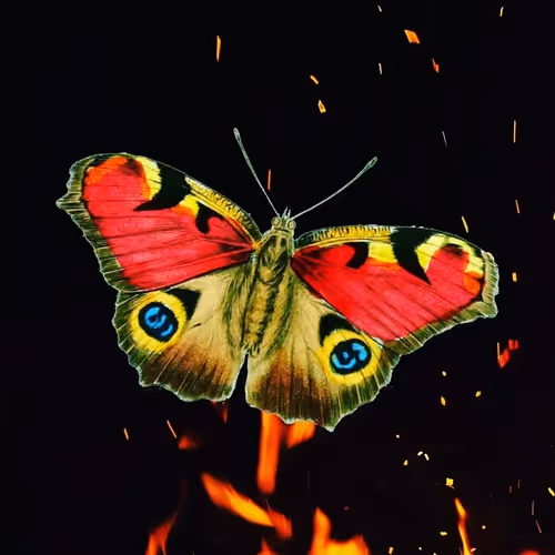 Item #55722805731594590865858469178127069440200032691454868183334866893885700833281 Media