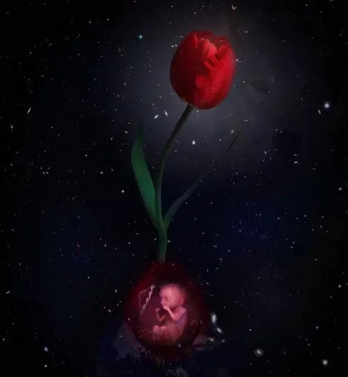 Item #68434927891014624317415557062834137852143522696892265020517829242132786839553 Media