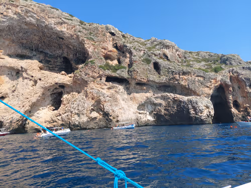 Item #43505702085321246701285015339688837487321998718285252344027785145748251738113 Media