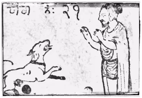 Item #51470273785012029928071263703376802076967363660265322373392266229280109756417 Media