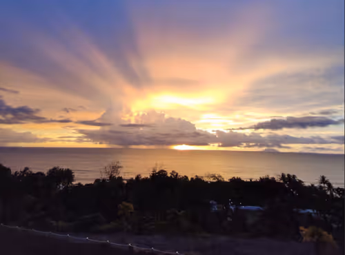 Untitled Collection #156488748