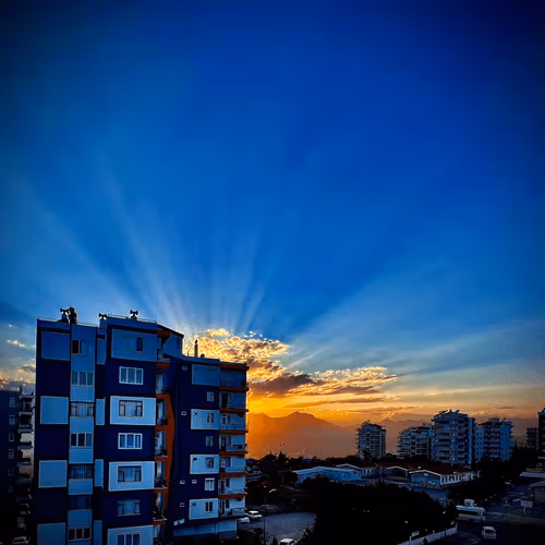 Untitled Collection #499509096