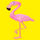 22848909656314276353678154739007867629475871222117194369031715854385326063617