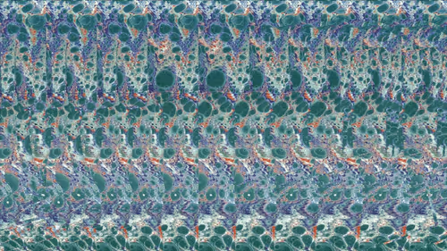 Item #58284496933605350558102452282782355821048818608266195453909625858360843698177 Media