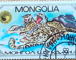 OldStamp#5