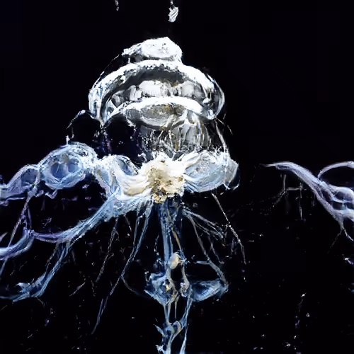 93923887731966639760197662534300547726212510779526051617655967345900471189505