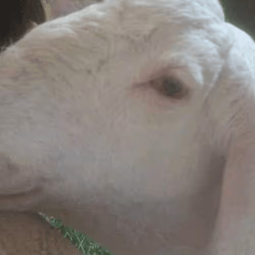 Untitled Collection #707412