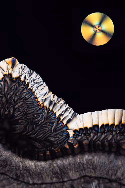 Item #10963747158726230323476698717181339106024031103904100561308612021577656041473 Media