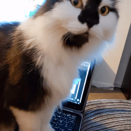 Item #13161020314009032005485822086301964352885579695205061807387255201468908568577 Media