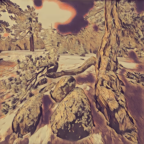 Item #41608778857690482487411606107507343250395388084249972998387532093079181852673 Media