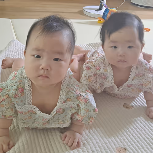 Untitled Collection #506541185