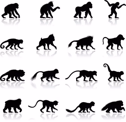 9356552443660322576281344363071059073050833426439699800791347466896398090241