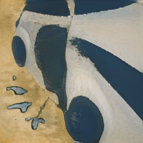 Item #30166107344743708059270094802271962169882312451502808097409442689831338508289 Media