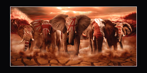 Item #56871824460436097439670074900799969400783413872521701598434761101285389238273 Media