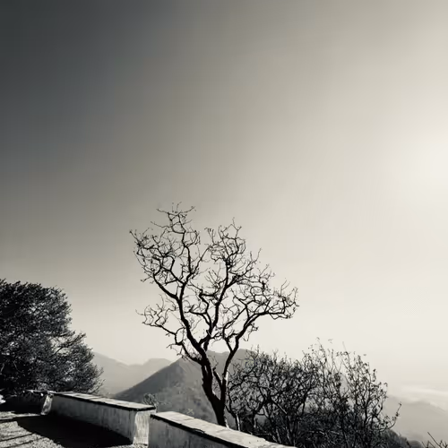 Untitled Collection #453826507