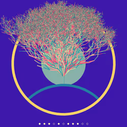 74168867016011539093366687608765447348507224284888477074887990519221643640833