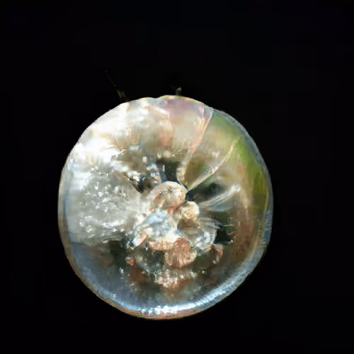 Item #4750064852715738149564930854294668621974194112560083604087540686364057010177 Media