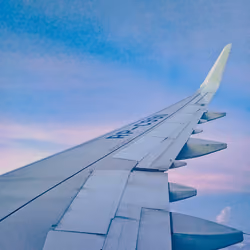 Fly high