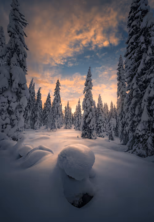 Item #96581077355438815098839991825512832741865857060493476294166675724870992527361 Media