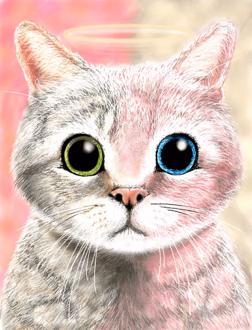 Item #56621992303262747893271366005093707345711101762340673219461019475070666407937 Media