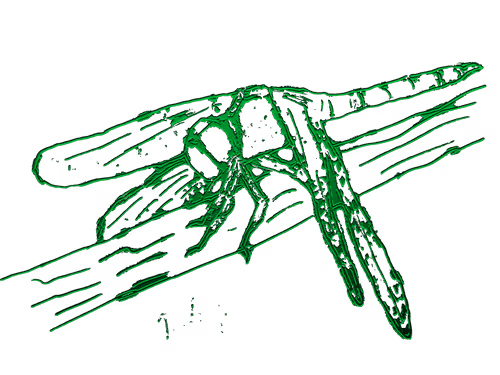 Item #80926432860847288351557924068159633664804178470775081465336394619066010042479 Media