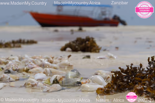 Item #21218919643484846679386017214105436286474954155539936946797714257825826340874 Media