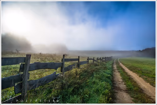 Nature Photographer 177169894