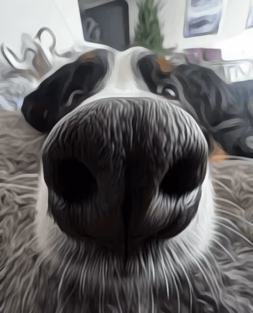 Item #101228580538014417157252191749085327701081991955078655329562190473480424652801 Media