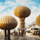 Shrooms 