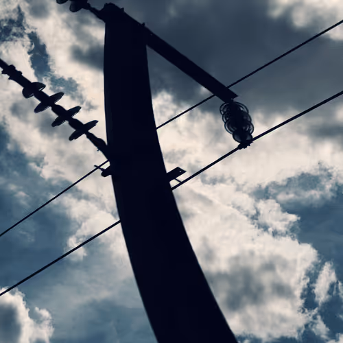 Item #3442147648602160205772546971277105007594001635721754337048564837480728100865 Media