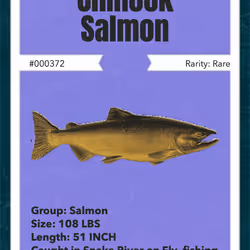 43502264269384842523243150070095810631836830099831581701628992078005269430273