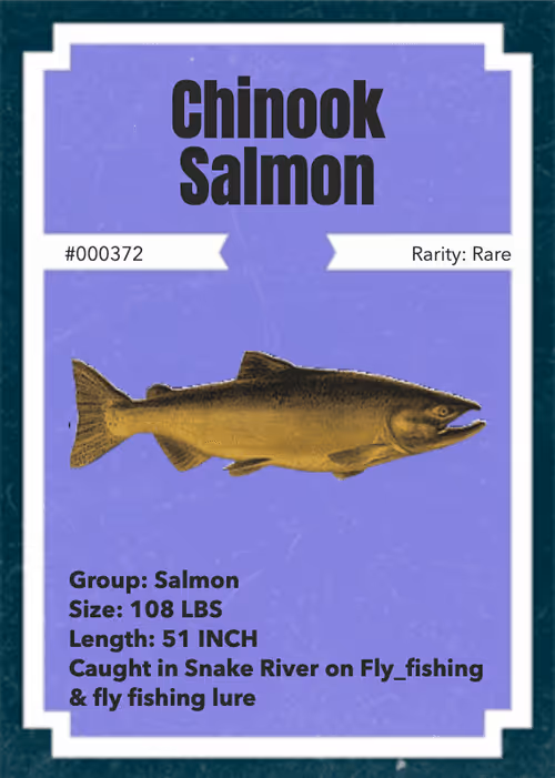 Item #43502264269384842523243150070095810631836830099831581701628992078005269430273 Media