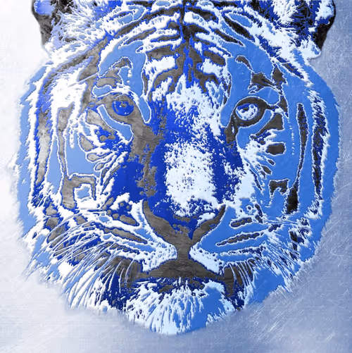 Item #86237857260230094109351666257840853512560942503418433082652455686686354964580 Media