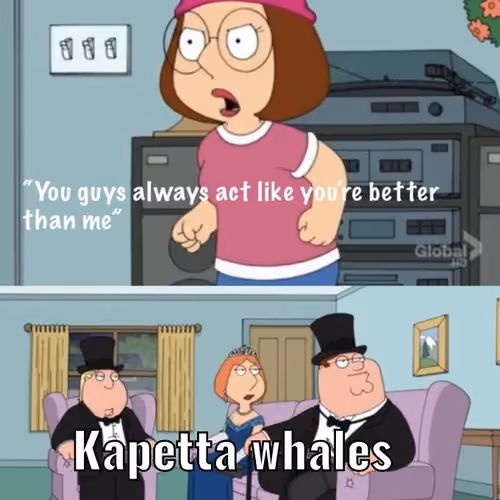 Meme 30