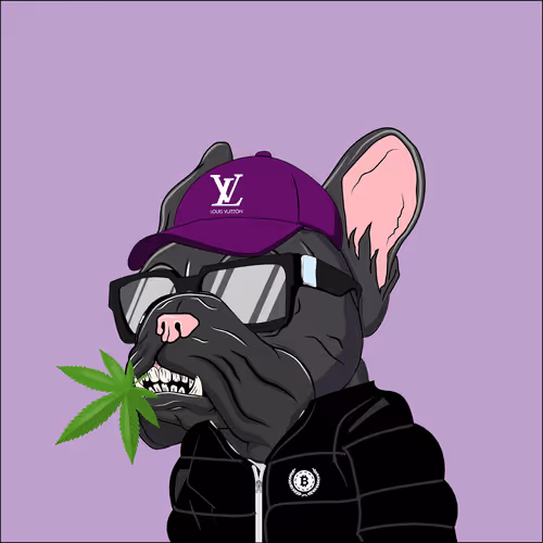 Item #106428270753434531491887901925397801775135261497342296435004701439970225684481 Media